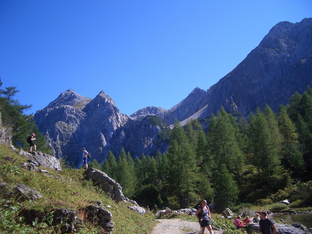 Haus Gruetzner Daire Dorfgastein Dış mekan fotoğraf